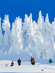 Powder Mountain Cat and Heli Skiing