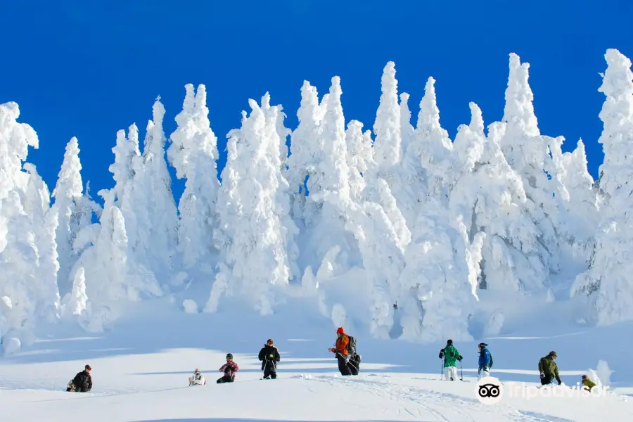 Powder Mountain Catskiing/Heliskiing