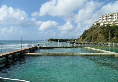 Dolphin Discovery Tortola