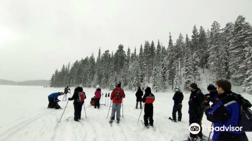 Lapland Safaris Levi