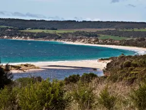 Lashmar Conservation Park