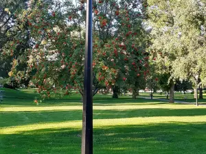 Lheidli T'enneh Memorial Park