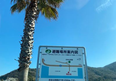 白谷海浜公園