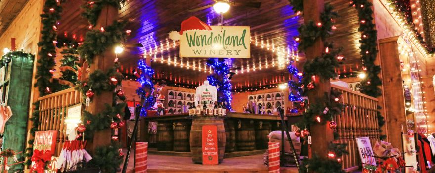 Santa's Wonderland