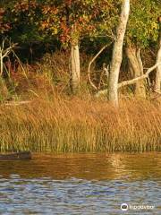 Connecticut River Expeditions - RiverQuest