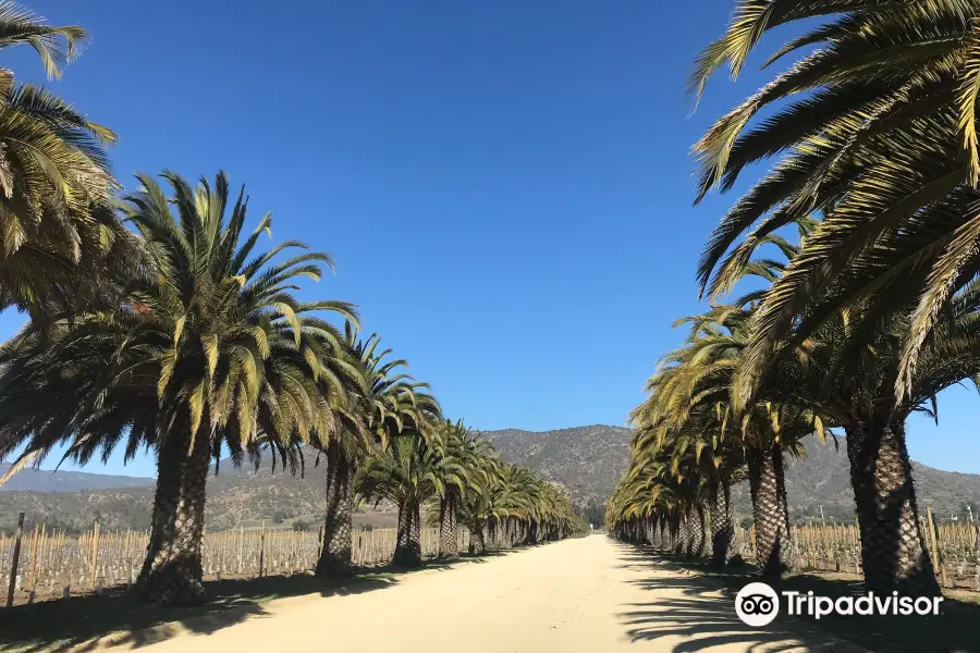 Casablanca Valley Wine Route