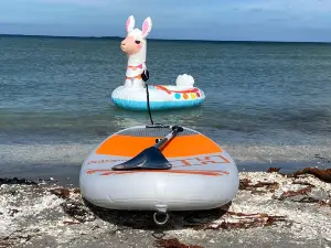 Palm Beach (Frederikshavn)
