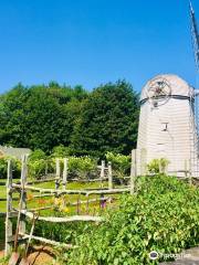 Jamestown Windmill