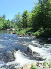 Austin T. Blakeslee Natural Area