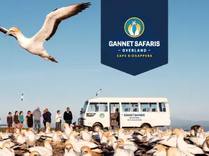 Gannet Safaris Overland