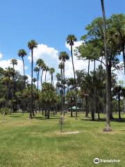 Reed Canal Park