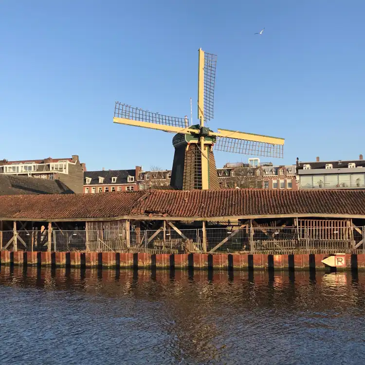 Hotels near Molen De Otter (1631) - windmill