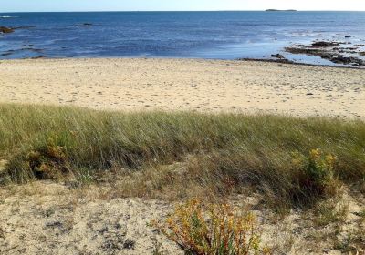 Plage de la Falaise