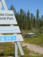 McNallie Creek Falls and Territorial Park