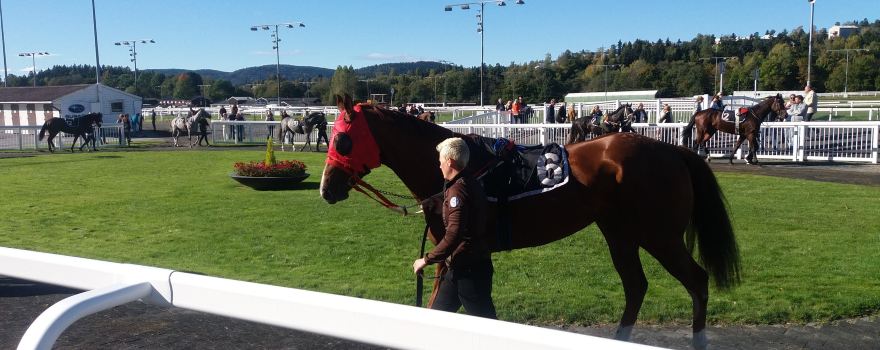 Ovrevoll Racecourse
