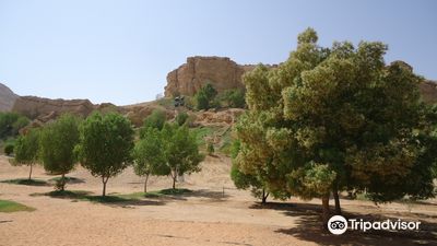 Al Mubazzarah Park
