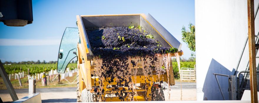 Hollick Estates (Winery and Cellar Door)