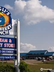 Hugli's Blueberry Ranch, Country Market & Play Park