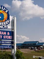 Hugli's Blueberry Ranch & Country Gift Store