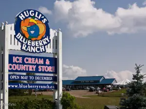 Hugli's Blueberry Ranch, Country Market & Play Park