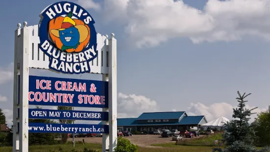 Hugli's Blueberry Ranch, Country Market & Play Park