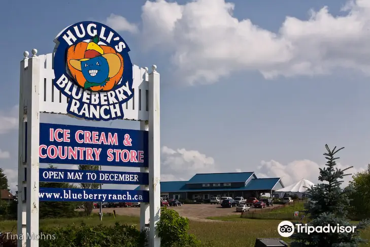 Hugli's Blueberry Ranch, Country Market & Play Park