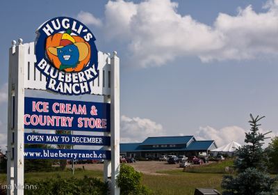 Hugli's Blueberry Ranch, Country Market & Play Park