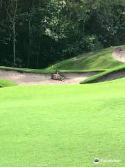 Tewantin-Noosa Golf Club
