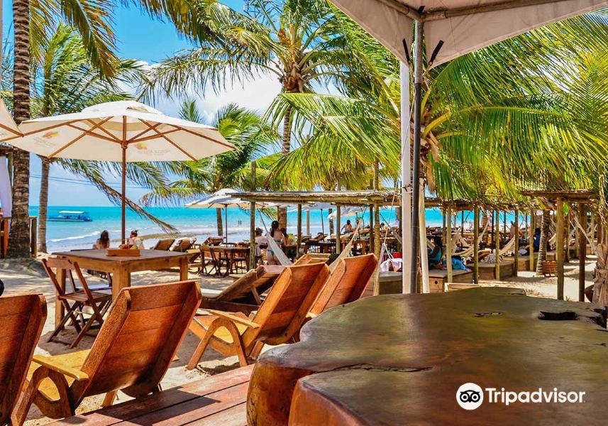 Glasgow to Maceio Flights