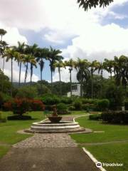 Real Jardín Botánico de Trinidad