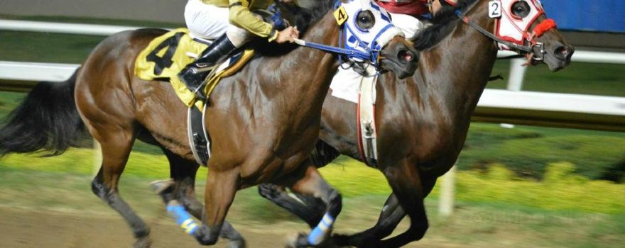 Lone Star Park