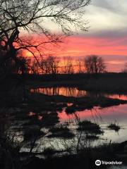 Trappers Bay State Park