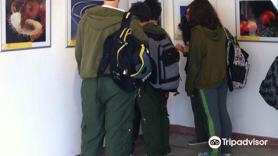 Dr. Joao Batista Gomes Ferraz Historic Municipal Museum