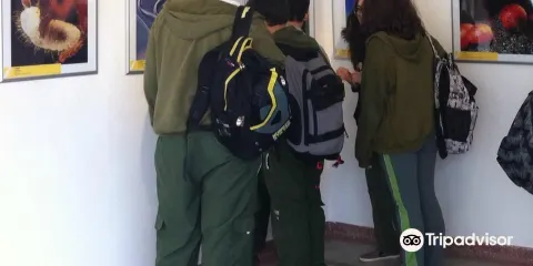 Dr. Joao Batista Gomes Ferraz Historic Municipal Museum