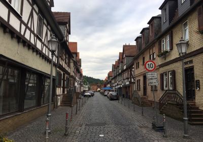 Sandrosenmuseum Buedingen