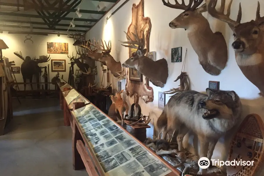 Michigan Whitetail Hall of Fame Museum