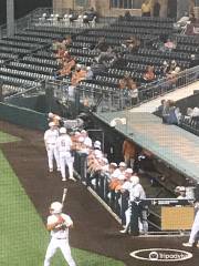 UFCU Disch-Falk Field