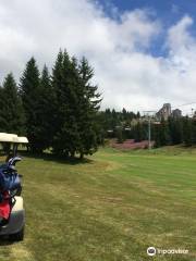 Morzine-Avoriaz Golf Club