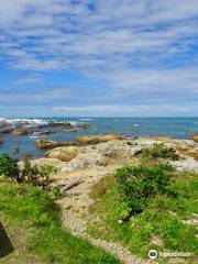 Taputeranga Marine Reserve