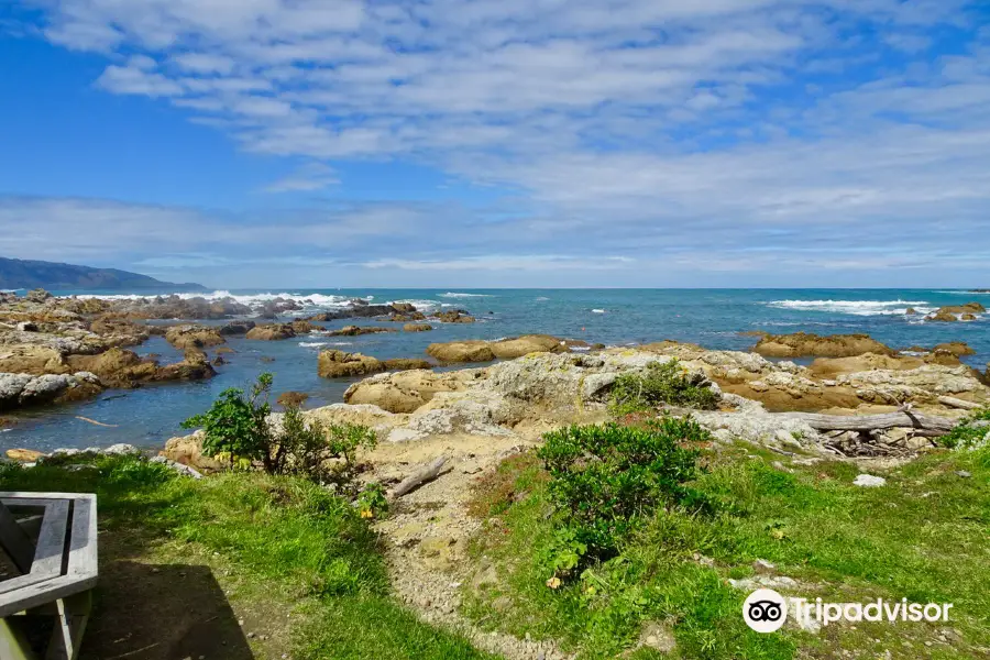 Taputeranga Marine Reserve