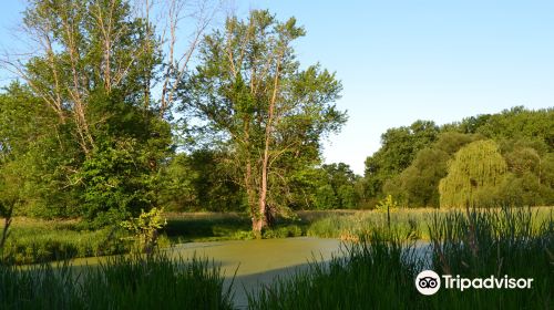 Nyquist-Harcourt Wildlife Sanctuary