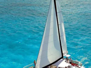 Allura Catamaran