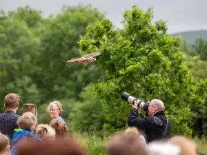 National Botanic Garden of Wales | Gardd Fotaneg Genedlaethol Cymru