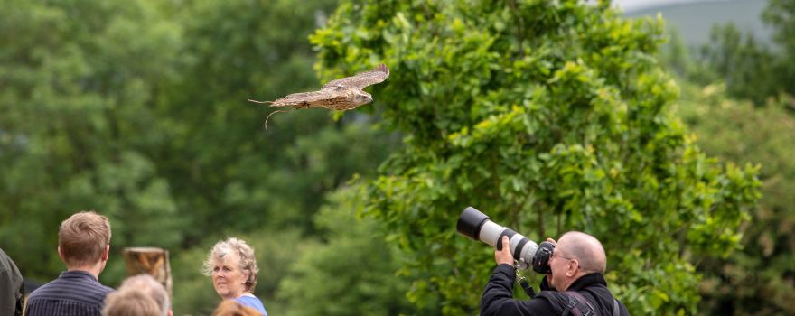 National Botanic Garden of Wales | Gardd Fotaneg Genedlaethol Cymru