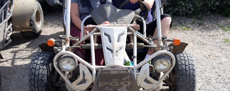Buggy Vasion