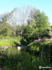 Smileys Provincial Park and Campground