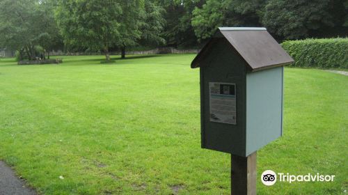 Free Wee Library