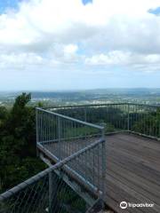 Dulong Lookout