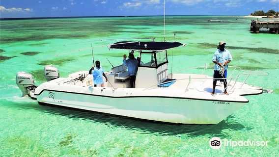 Screaming Reels Fishing Charters & Guesthouse