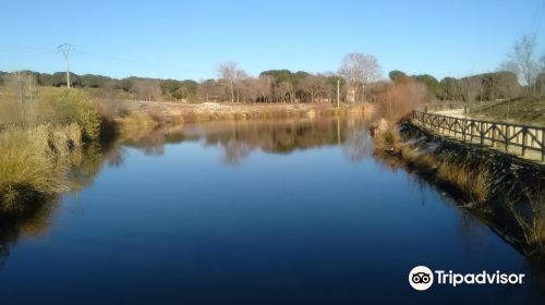 Parque de Las Presillas